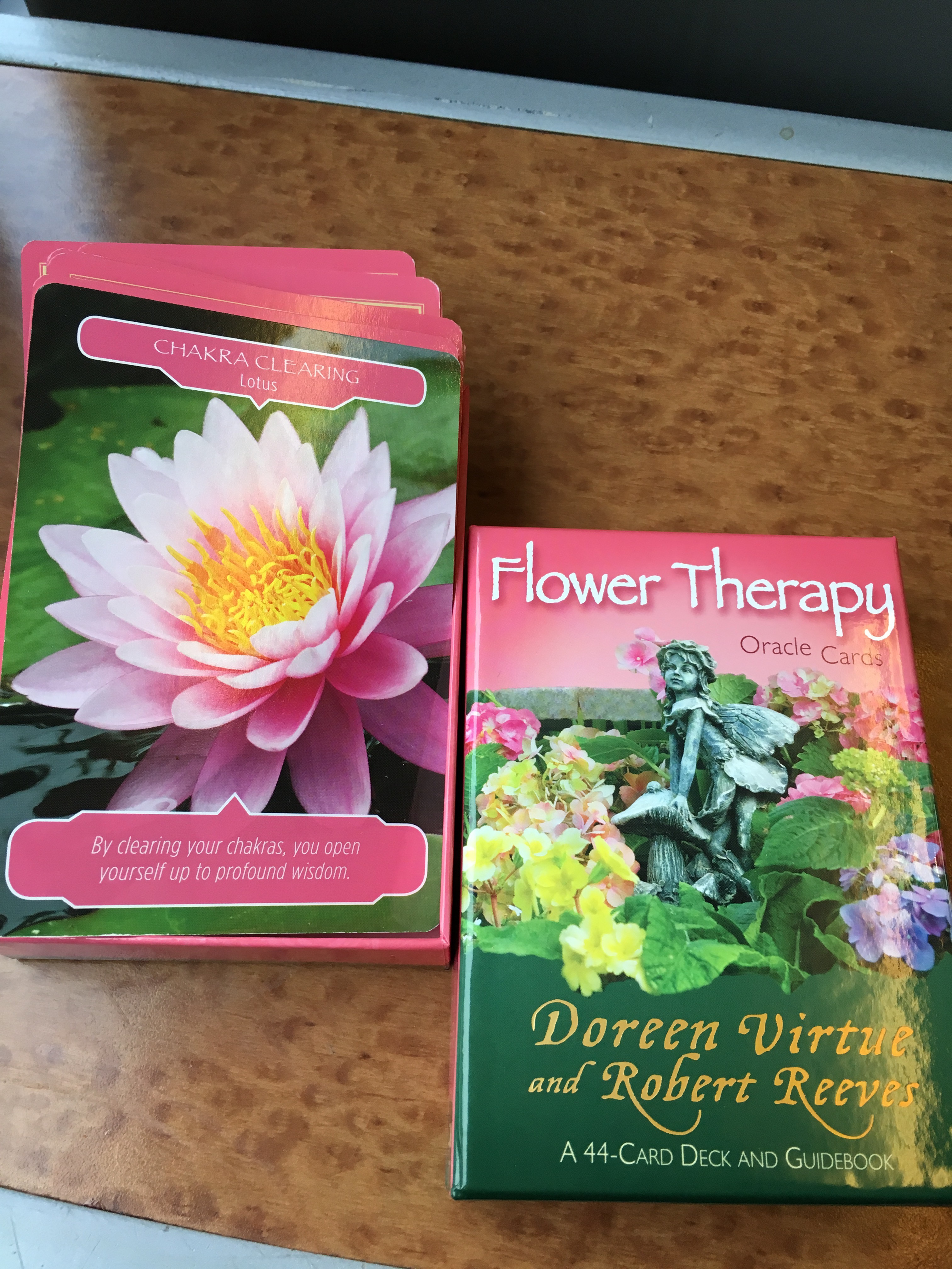 From the Flower Therapy Oracle Deck by Doreen Virtue and Robert Reeves